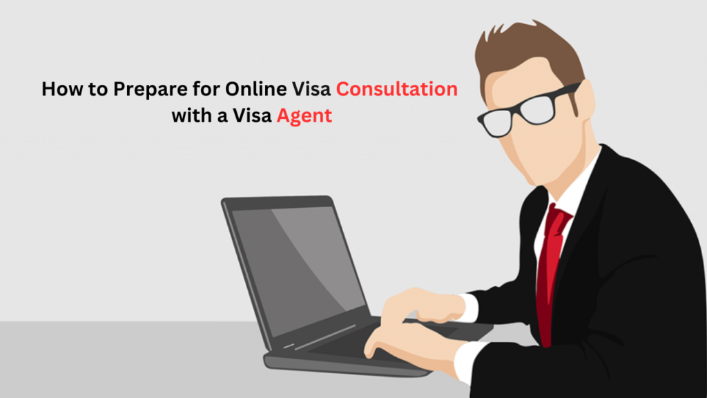 Visa Consultation